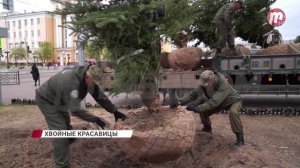 Ремонт трамвайных путей/«Новости дня» 15.05.2026