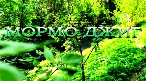 Весенняя река, мормо снасть, отличная погода, рыба присутствует.