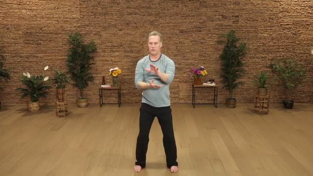 Tai Chi for Beginners 13-Minute Gentle Qi Gong Tai Chi Flow смотреть онлайн