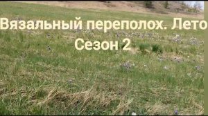 СП «Вязальный Переполох Лето. Сезон2»  Вступление