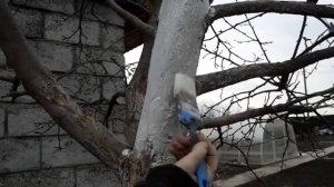 Дача Риммы. Ка Яблоня