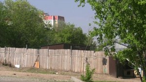 В Воронеже, через суд, пытаются добиться вывоза собак, которые содержатся в частном домовладении
