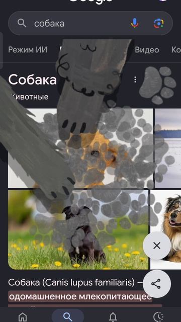 СОБАЧИЙ ХОР 0_0 смотреть онлайн