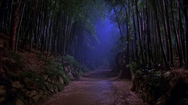 midnight path through ancient bamboo ⧸⧸ deep solitude 🎋