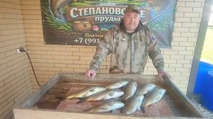 ночной улов карпа на основном
