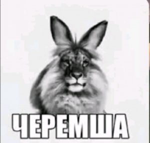 играем в funny city  gopniks