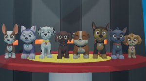 Щенячий  патруль. СБОРНИК 4.  Paw Patrol. Новые захватывающие приключения щенков- спасателей.