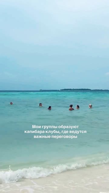 Я-Автор туров на Мальдивы! 🇲🇻
