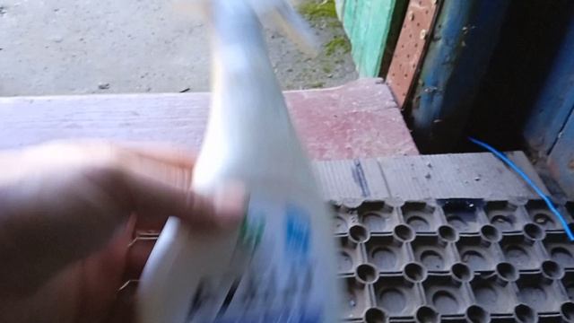 Как убрать кошачий запах