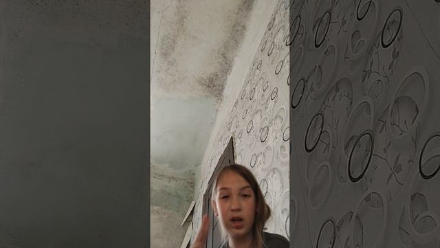 . картины