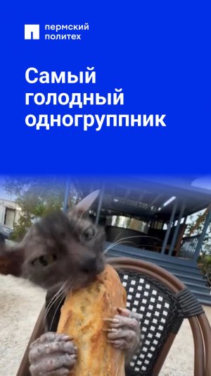 Самый голодный одногруппник