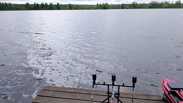 Ловля трофейного карпа РК