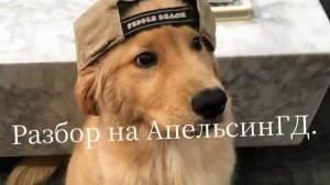 Разбор на АпельсинГД