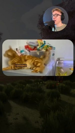 ВИРУСНЫЕ ВИДЕО  Протечка 😅