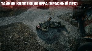 ТАЙНИК КОЛЛЕКЦИОНЕРА (КРАСНЫЙ ЛЕС) (85) | СТАЛКЕР НАРОДНАЯ СОЛЯНКА OGSR 2026