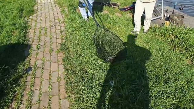 VID_20260516_082609_395