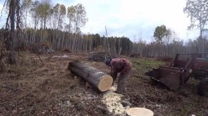 Развернутый ответ про дрова и про другое. Наше или импортное?