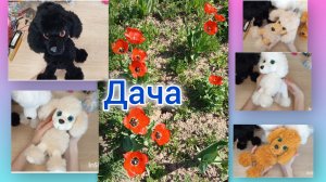 Дача 🏡/ Заказы 🧶/ Подарки 🎁/ Покупки 🛒/ Скучное видео/ #вязовлог