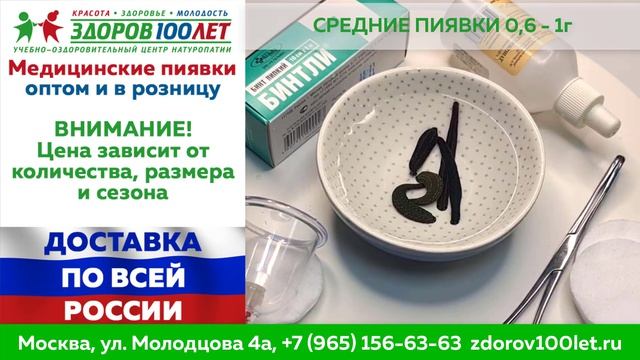 Пиявки https://zdorov100let.ru/catalog/kupit-piyavki-biofabrika
