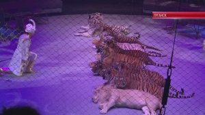 Коротко. ФИНАЛЬНОЕ ПРЕДСТАВЛЕНИЕ