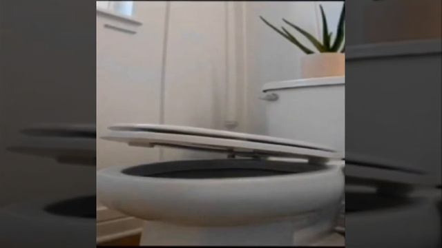 И АААА ТУНС ТУНС НЬЮ ЛЕНД смотреть онлайн