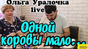 Ольга Уралочка live _Одной коровы мало _Обзор Влогов _Уралочка _