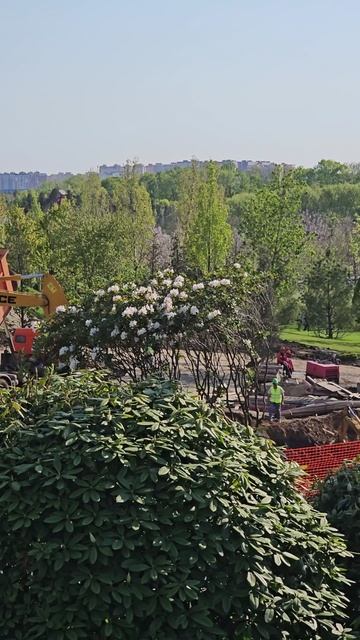 В Парке Облаков в Краснодаре всё вокруг наполнено весенней красотой