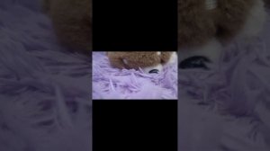 пол это лава 2 части! 🤫😉