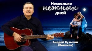 Несколько нежных дней - Андрей Кузьмин - Вайсман