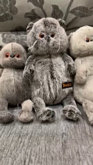 моя колекция котов