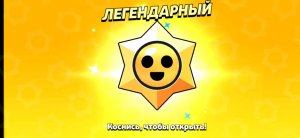 черемша т2