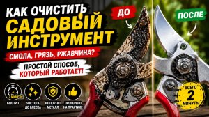 Как очистить садовый инструмент от смолы и грязи: простой способ, который реально работает
