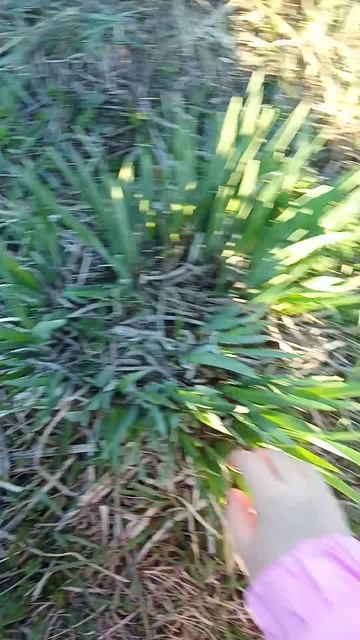 1000018586.mp4 смотреть онлайн