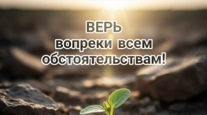 Основа