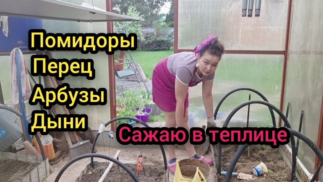 Май 2026 Сажаю в теплице Помидоры Перец Арбузы Дыни