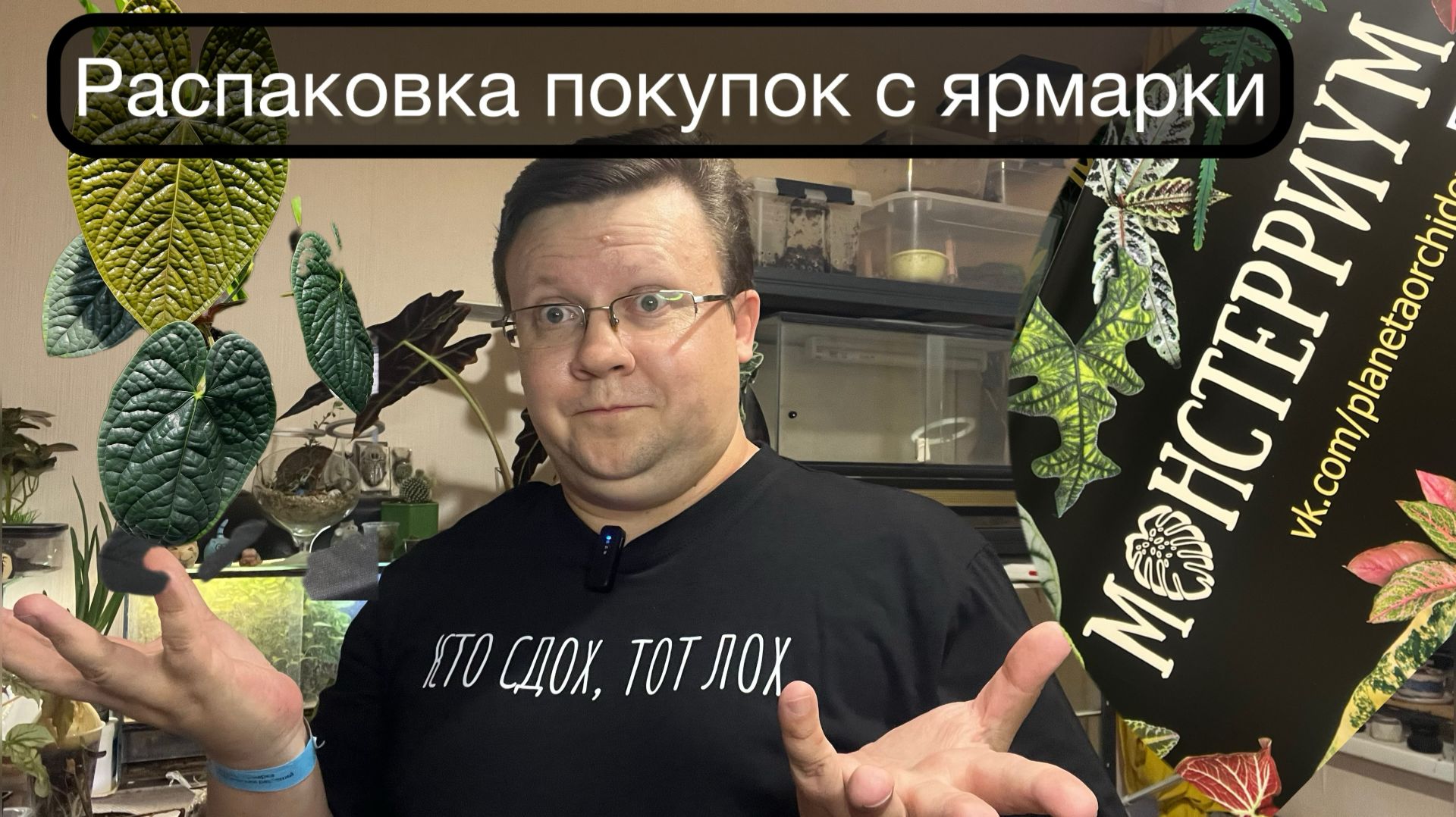 Распаковка покупок с монстериума весна 2026!