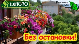 💧 Земля в кашпо как губка: дешевые добавки, чтобы цветы цвели всё лето. Нашел отличный вариант!