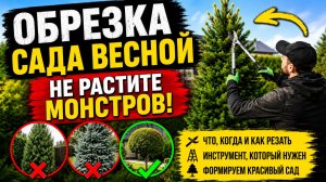 Обрезка сада весной: что, когда и как резать, чтобы не вырастить монстров
