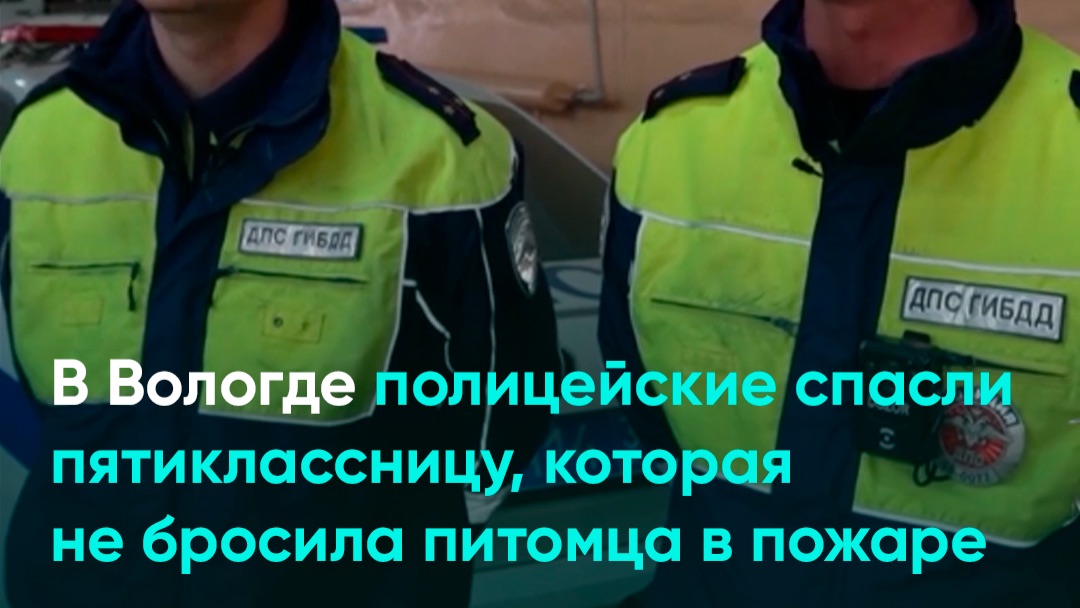В Вологде полицейские спасли пятиклассницу, которая не бросила питомца в пожаре