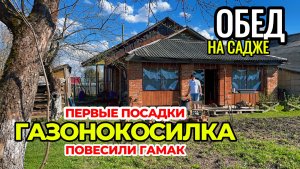 Первый покос травы газонокосилкой. Новые жильцы нашего участка.