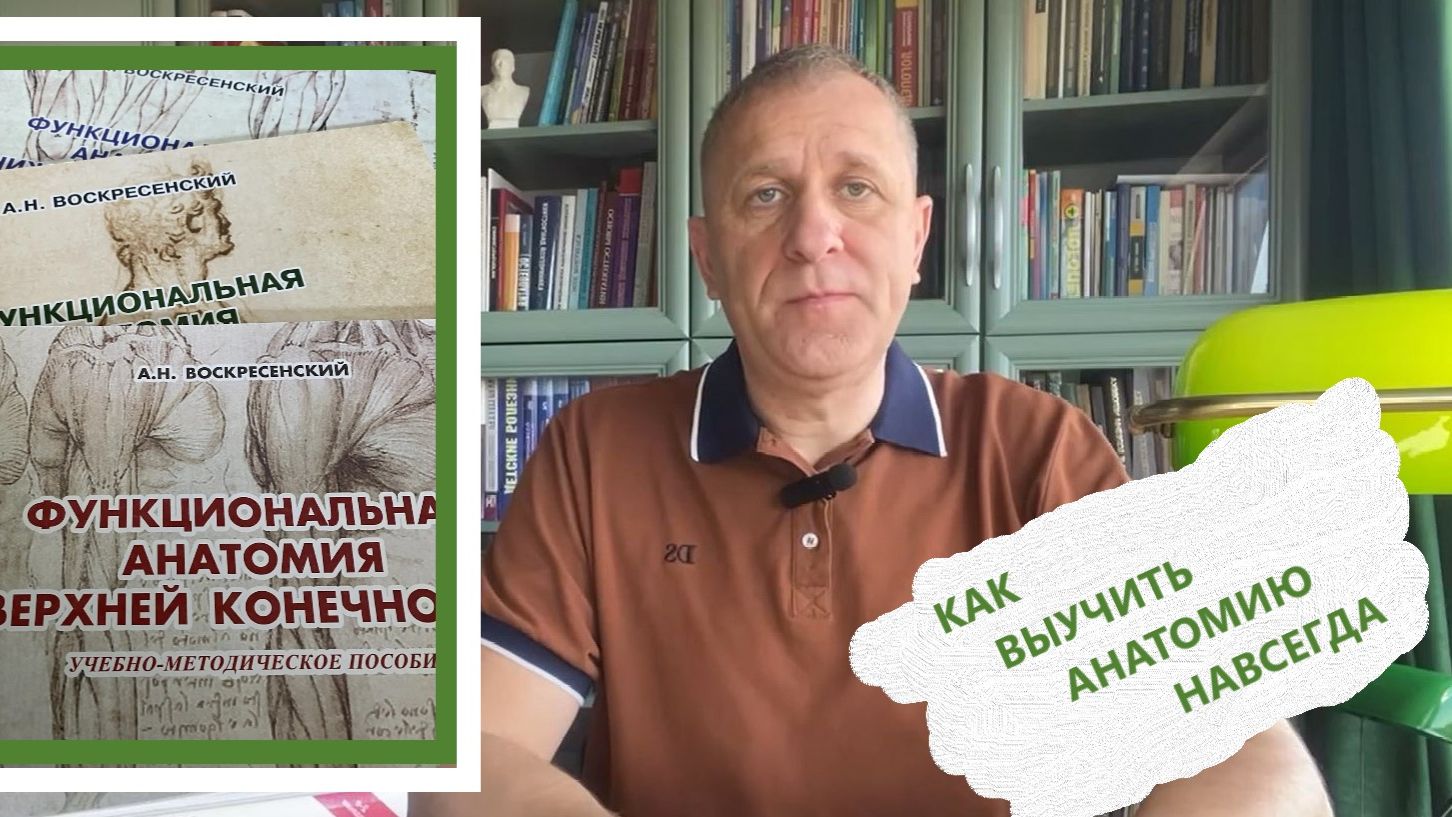 Функциональная анатомия