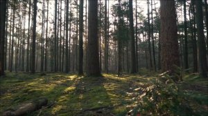 Секретный символ на левой ладони, который притягивает деньги за 24 часа.