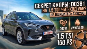 CUPRA FORMENTOR 1.5 TSI на DQ381 Автомобили из и для Германии  Весь процесс от покупки до номеров