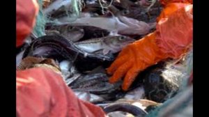 Россельхознадзор начал проверку сельхозпродукции из Армении