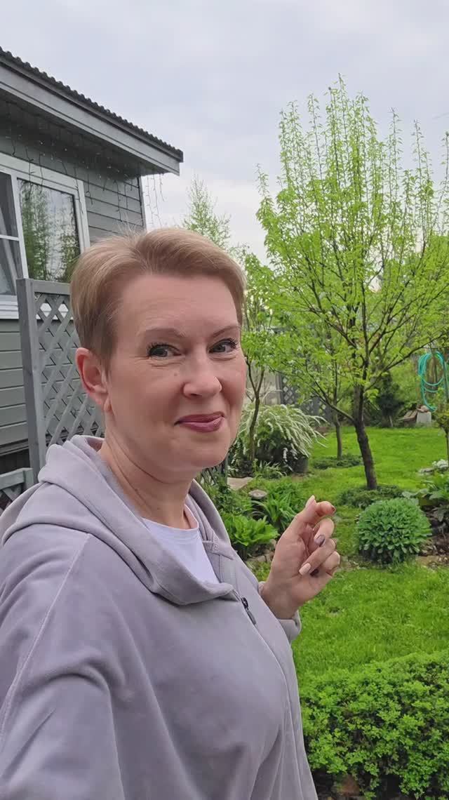 16 мая | утро в саду У нас опять выпад! Освобождается место для нового. Монилиоз замучал!