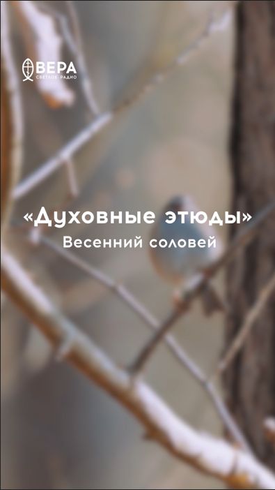 Соловей поёт дивно