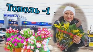 ❤️ ЖИЛМАССИВ ТОПОЛЬ💥 ТУТ Я ЖИЛА ‼️ 06.03.26