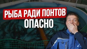 НИКОГДА не разводите этих рыб! Ошибки, которые стоят миллионов