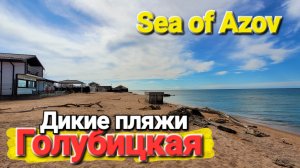Дикий пляж #Голубицкая Дорога Столовые Магазины Бассейны Стоянки Можно ли с автодомом?
