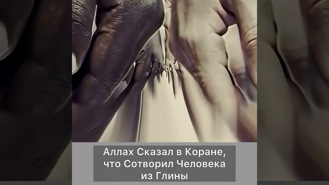 Аллах сказал в Коране, что сотворил нас из Глины → 👤 #Nasiha